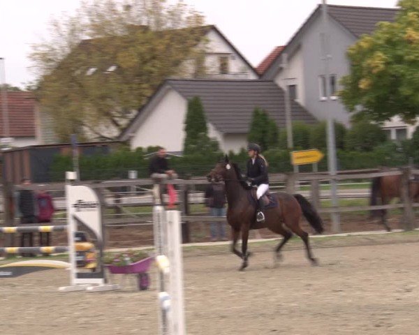 Reitturnier Poxdorf/Ofr 2025