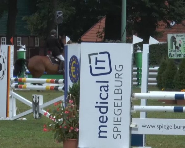 Reitturnier Georgsmarienhütte 2014