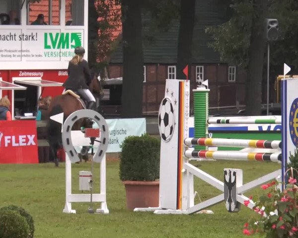 Reitturnier Georgsmarienhütte 2014