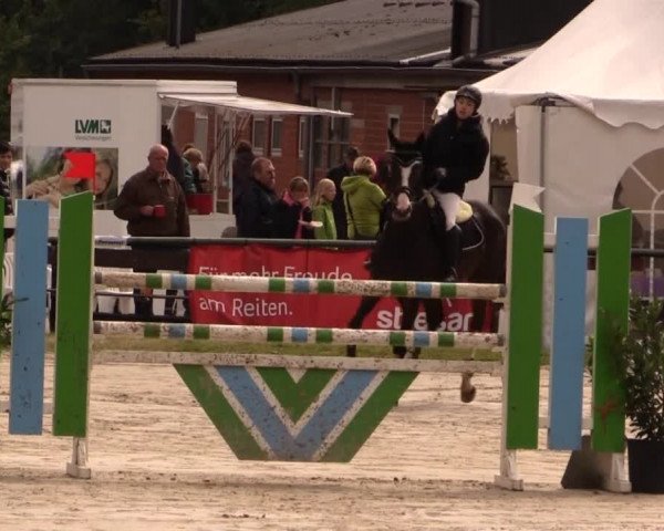Datteln 2014