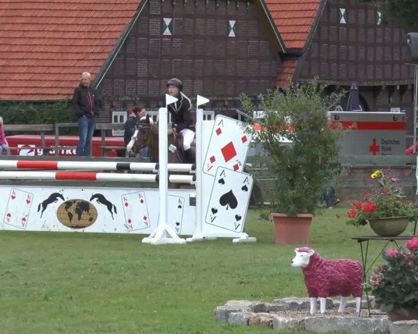 Reitturnier Georgsmarienhütte 2014