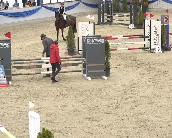 Reitturnier Buchs 2025