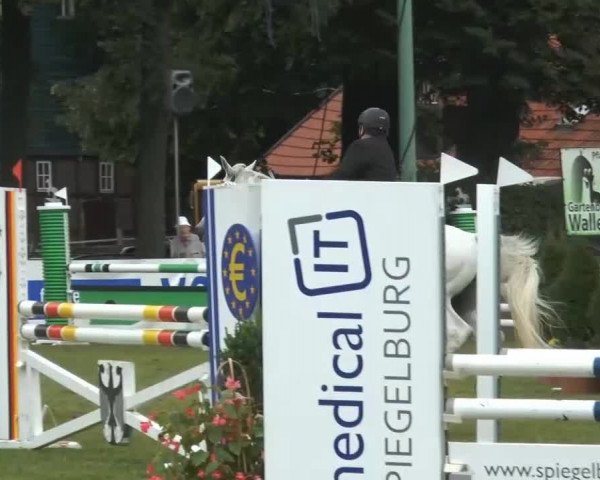 Reitturnier Georgsmarienhütte 2014