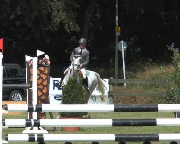 Reitturnier Georgsmarienhütte 2014