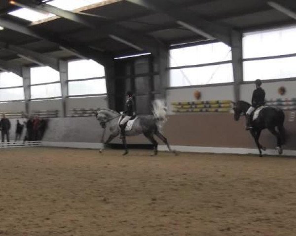 Datteln 2014