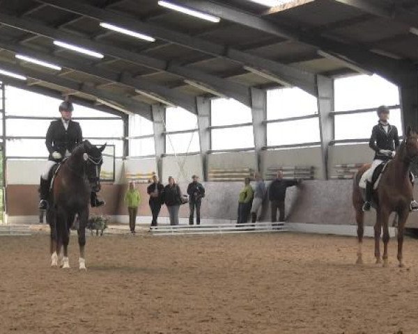 Datteln 2014