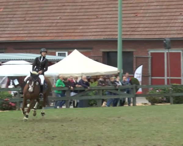 Reitturnier Georgsmarienhütte 2014