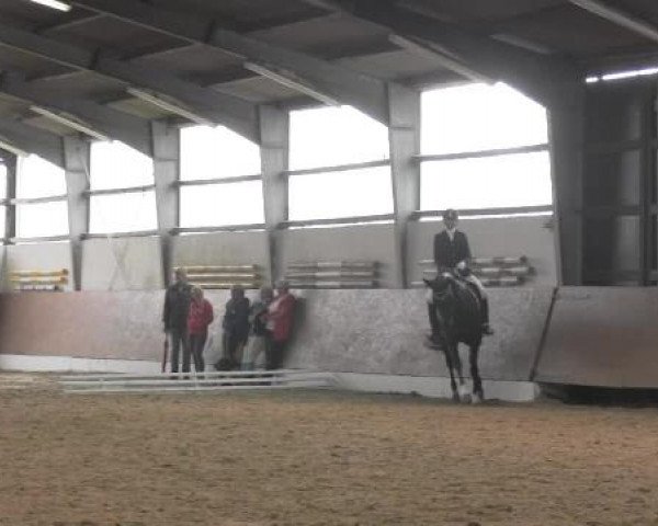 Datteln 2014