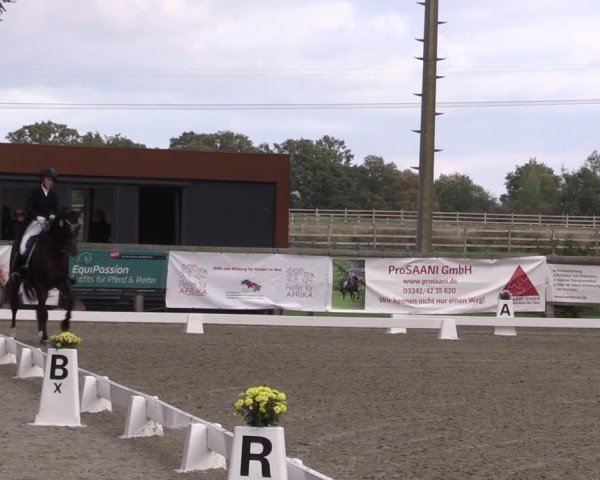 Reitturnier Ruhlsdorf 2025