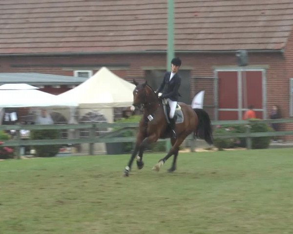 Reitturnier Georgsmarienhütte 2014