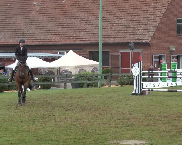 Reitturnier Georgsmarienhütte 2014