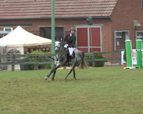 Reitturnier Georgsmarienhütte 2014