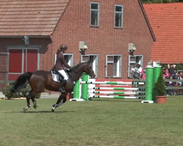 Reitturnier Georgsmarienhütte 2014