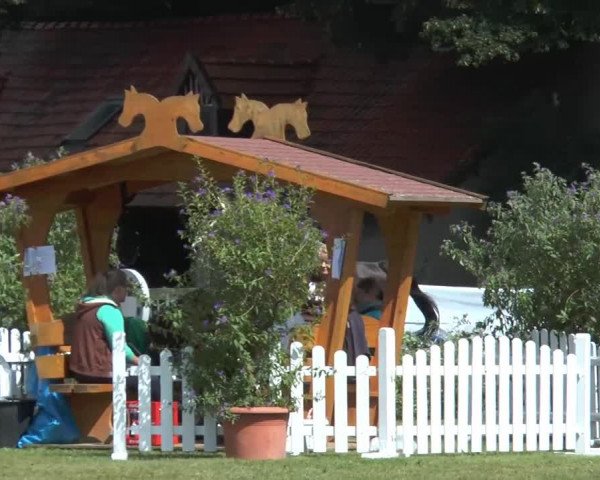Reitturnier Georgsmarienhütte 2014
