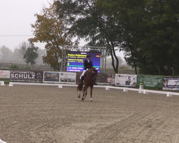 Reitturnier Ruhlsdorf 2025