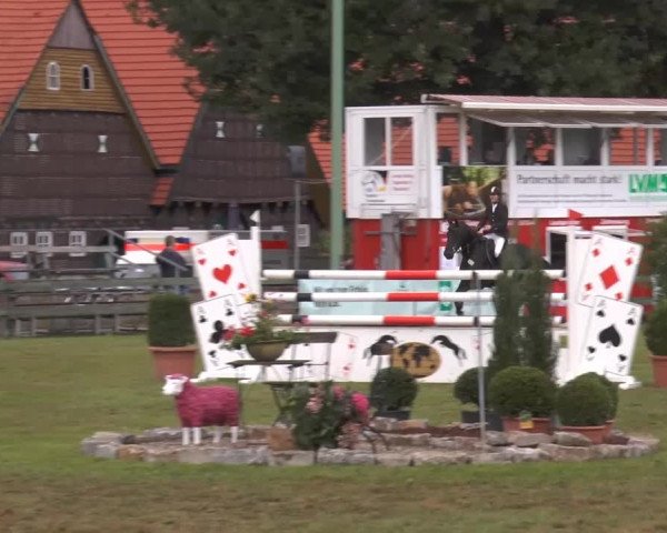 Reitturnier Georgsmarienhütte 2014