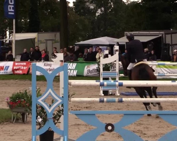 Datteln 2014