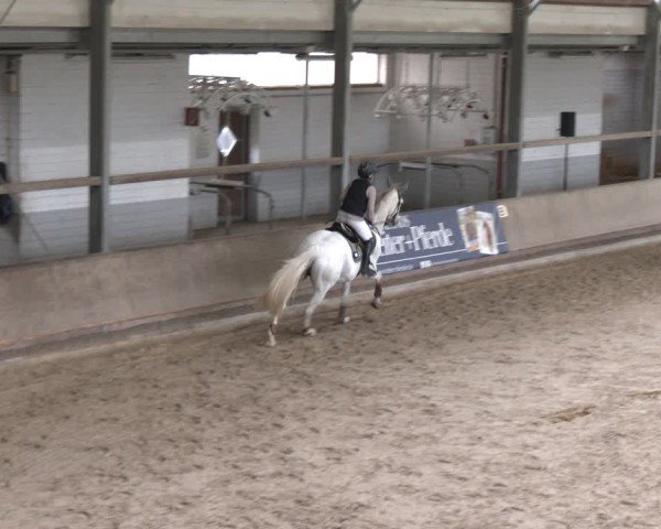 Reitturnier Langenfeld - Gut Langfort 2025