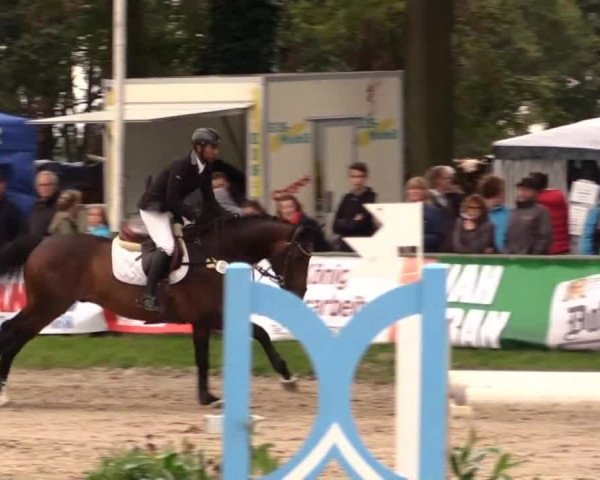 Datteln 2014