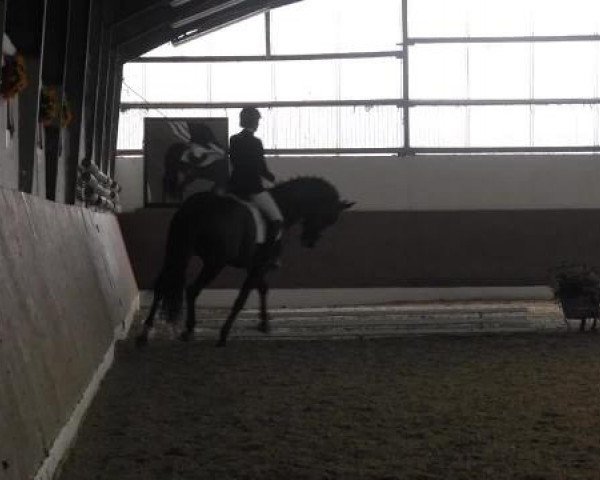 Datteln 2014