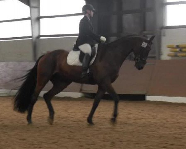 Datteln 2014