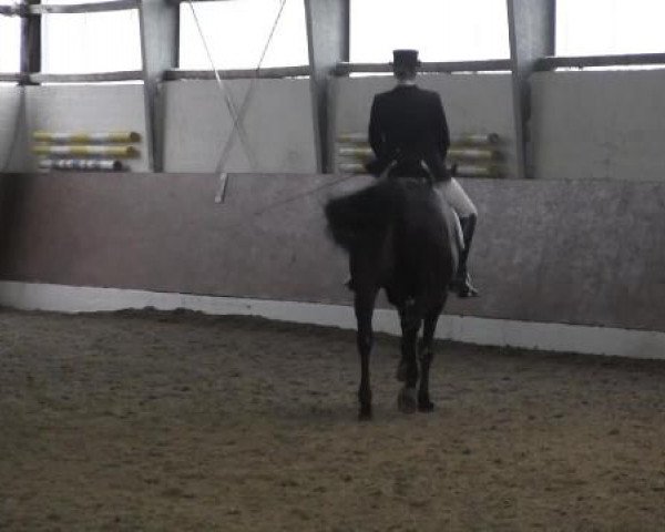 Datteln 2014