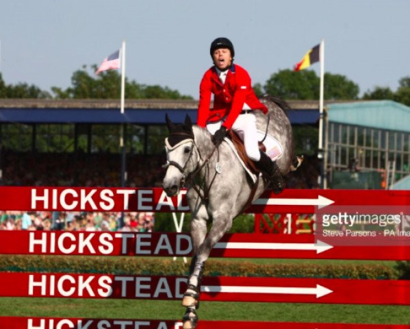 jumper Uceko (KWPN (Royal Dutch Sporthorse), 2001, from Celano)
