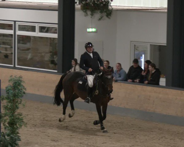 Reitturnier Borken 2025