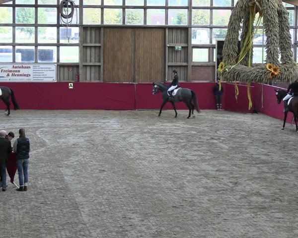 Reitturnier Krumke 2025