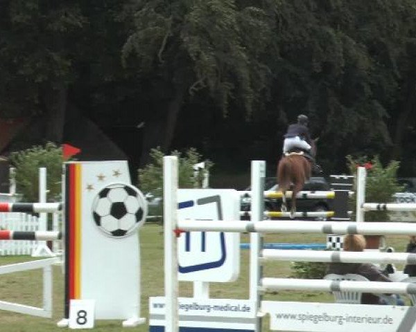 Reitturnier Georgsmarienhütte 2014