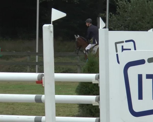 Reitturnier Georgsmarienhütte 2014