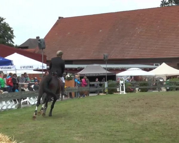 Reitturnier Georgsmarienhütte 2014