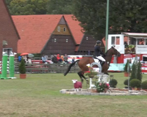 Reitturnier Georgsmarienhütte 2014
