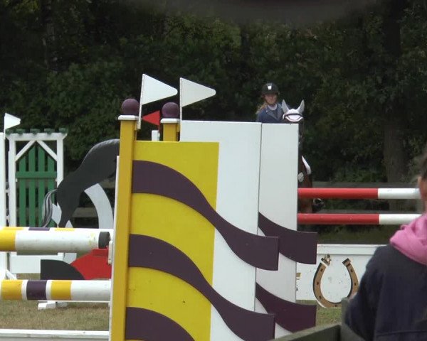 Reitturnier Georgsmarienhütte 2014