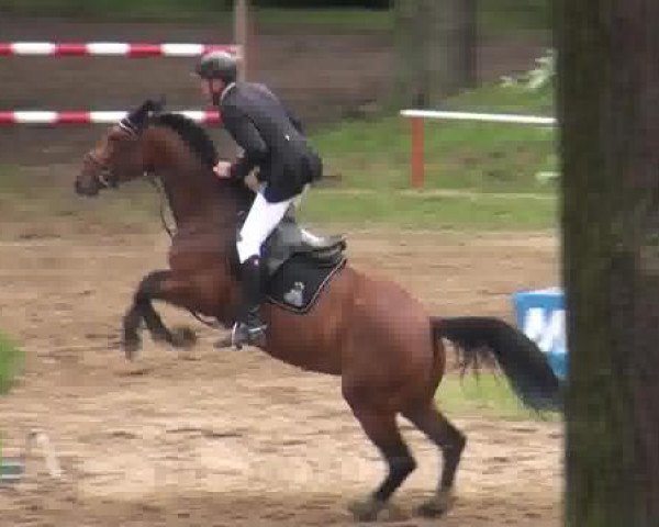 90. Calvörder Traditionsturnier