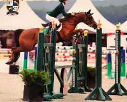 jumper Lea du Genier (French Pony, 1999, from Balkh d'Aigremont ox)