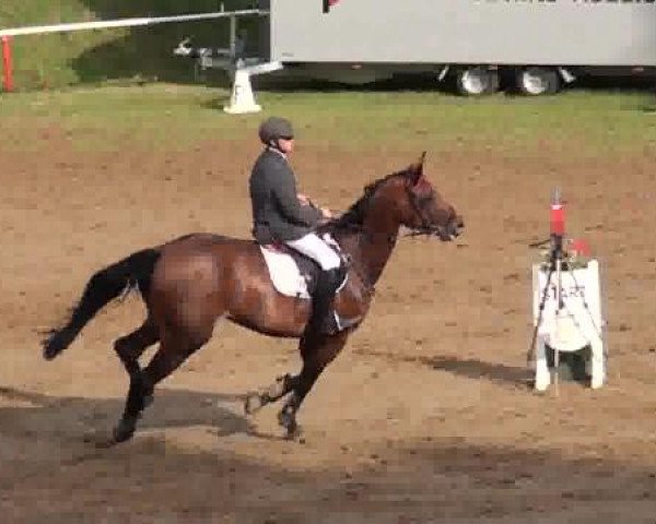 90. Calvörder Traditionsturnier