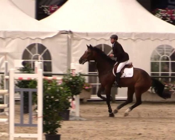 Datteln 2014