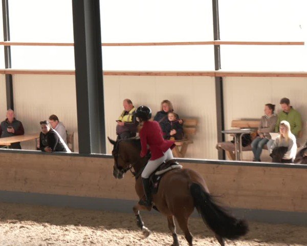 Reitturnier Borken 2025