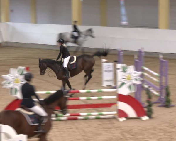 Equestrian Show Stadl-Paura 2025