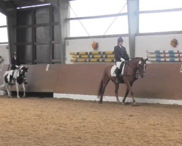 Datteln 2014