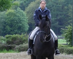 dressage horse R.S.V.P. (Westphalian, 2002, from Rubin Royal OLD)