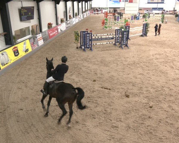 Reitturnier Borken 2025