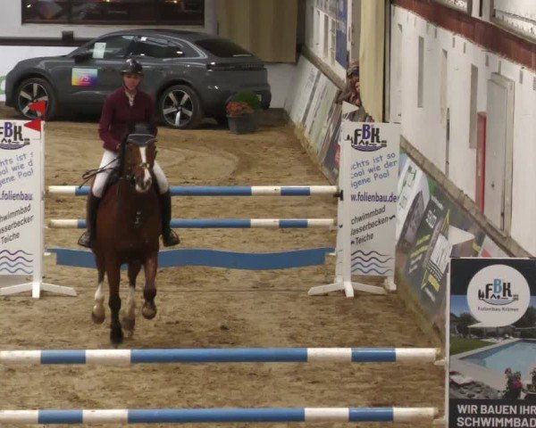 Torneo Equestre Neuwied 2025