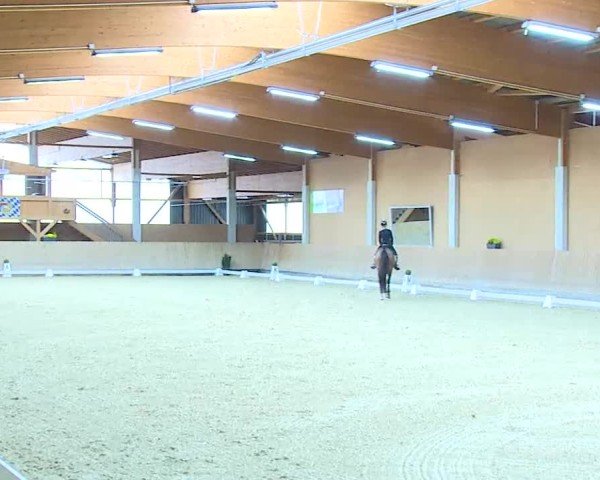 Reitturnier Grafenrheinfeld/Ufr. 2025