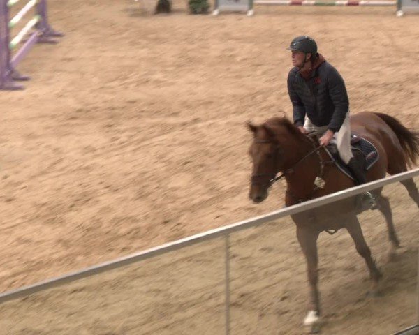 Reitturnier Stadl-Paura 2025