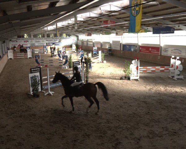 Reitturnier Vreden 2025