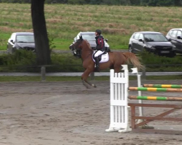 Recklinghausen 2014