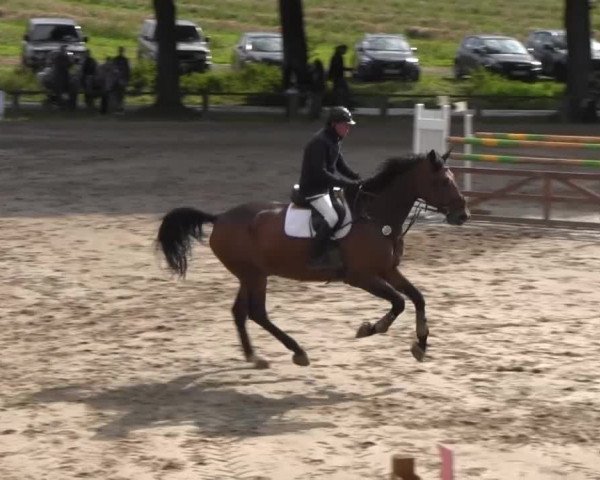 Recklinghausen 2014