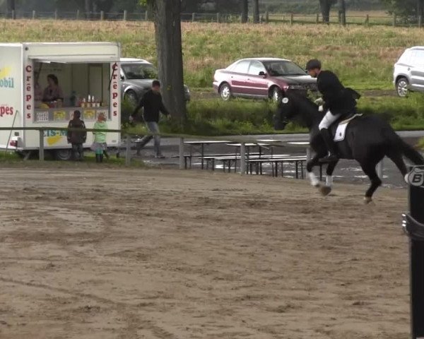 Recklinghausen 2014